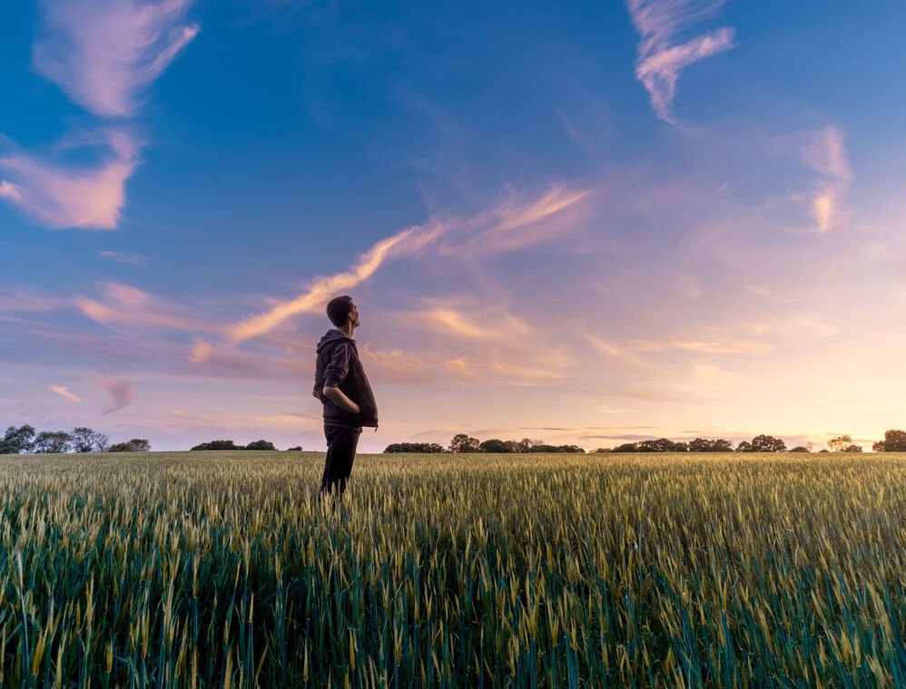 A man standing in a wheat field. He is relaxed and looks to the sky. There are few light clouds. The sun is about to go down, colouring the sky blue and red from left to right
